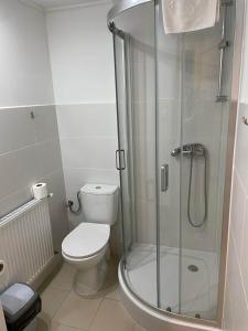 W łazience znajduje się toaleta i przeszklony prysznic. w obiekcie Folwark Tumiany Pokoje & Restauracja w mieście Tumiany