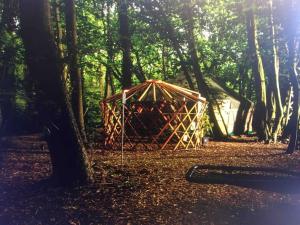a tent in the middle of a forest at Magical Forest yurt in Sturry