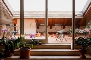 Habitación con macetas, sillas y ventana. en Casa Isolani - Santo Stefano, en Bolonia