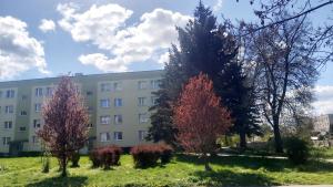 a building with trees in front of it at Apartament Trzy Pokoje in Zamość