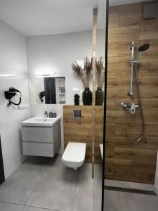 a bathroom with a shower and a toilet and a sink at Apartamenty BLAST nad morzem Chłopy in Chłopy