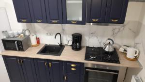 Kuchyň nebo kuchyňský kout v ubytování Delia Apartament