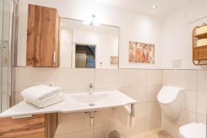 a bathroom with a sink and a toilet and a mirror at Ferienhaus Zur alten Mühle in Tamsweg +13 photos