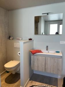 een badkamer met een wastafel, een toilet en een spiegel bij MORI in Brugge