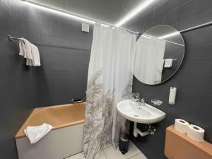 bagno con lavandino e tenda doccia di No.8 Boutique Apartment a Unterseen