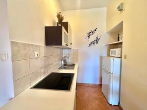 Kuchyňa alebo kuchynka v ubytovaní Apartmani Zeleni Raj