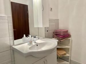Kúpeľňa v ubytovaní Apartmani Zeleni Raj