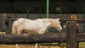 Zdjęcie z galerii obiektu Casa Rural Moli w mieście Rosell