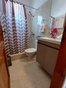 a bathroom with a toilet and a shower and a sink at Paros Reppas House "Portes" in Parikia