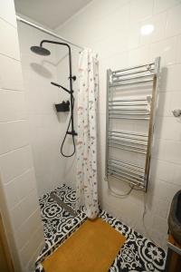 ein Bad mit Dusche und Duschvorhang in der Unterkunft Nana’s Vendégház in Mád