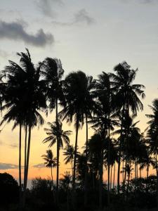 a group of palm trees in front of a sunset at Villa Maya in Kampung Mawar