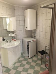 uma pequena cozinha com um lavatório e um frigorífico em Charmantes Studio am Wörthersee em Reifnitz