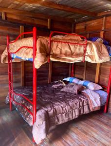 Zimmer mit 2 Etagenbetten in einer Hütte in der Unterkunft Casa nómada Puyo in Puyo