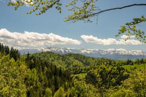 a view of a forest with mountains in the background at Górna Chata Mountains Chalet in Ochotnica Górna
