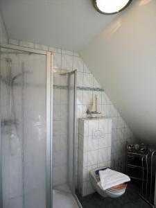 een badkamer met een douche en een toilet bij Meer, Whg 15 in Zingst