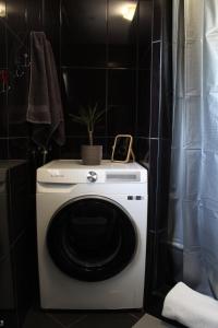 eine Waschmaschine mit einer Pflanze darüber im Bad in der Unterkunft Vacation house ''CASA TERRA'' in Poreč