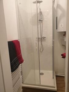 een douche met een glazen deur in de badkamer bij Marron 5 stars appartement in Amiens