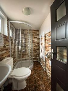 a bathroom with a shower and a toilet and a sink at Magura Raraului in Câmpulung Moldovenesc