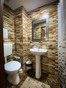 een badkamer met een toilet en een wastafel bij Magura Raraului in Câmpulung Moldovenesc