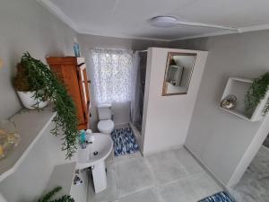 a small bathroom with a toilet and a sink at Riebeeck Cottage in Potchefstroom