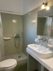 La salle de bains est pourvue d'un lavabo, de toilettes et d'un miroir. dans l'établissement Kyklades, à Agios Ioannis