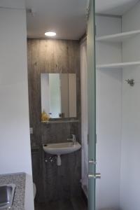 a bathroom with a sink and a mirror at Tiny House in ruhiger Lage 