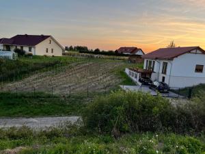 einen Bauernhof mit einem Haus und einem Weinberg in der Unterkunft Winnica pod Skrzydłami in Santok