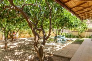 un árbol en un patio con mesa y sillas en Villa Erato, en Palaiokastro