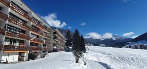 a snow covered slope next to a building with a tree at Haus Viols 54 in Savognin