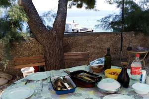 - une table avec de la nourriture et du vin avec un arbre dans l'établissement Apartment by the sea SONJA, à Dugi Rat