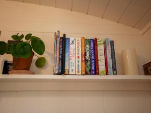 a row of books on a shelf with a potted plant at Spindleberry Hut in Dorchester