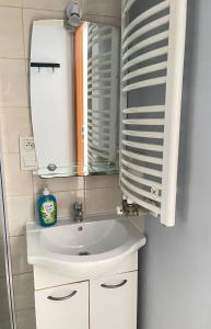 a bathroom with a white sink and a mirror at Domek nad jeziorem w Puszczy Zielonka in Kamińsko