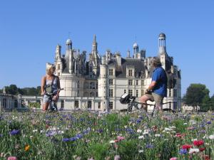 a group of people in a field of flowers in front of a castle at La Haute Bédinière in Crouy-sur-Cosson