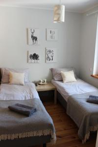 two beds in a room with pictures on the wall at Leśny Mech in Augustów