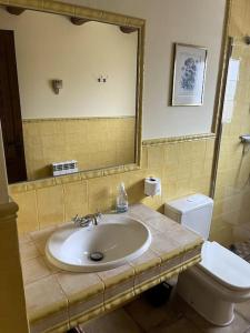 a bathroom with a sink and a toilet and a mirror at Apartment in country house with views and pool in Vespellá