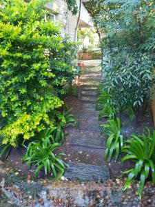 a garden path with plants and a hedge at Nel's Cottage, a private and peaceful cottage in Benoni