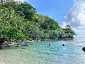 dos personas nadando en el agua en una playa en Vladi Eco House en Bocas del Toro