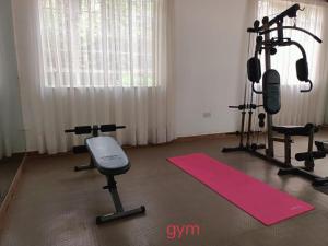 Fitness centrum a/nebo fitness zařízení v ubytování Lux Suites Karen Family Bungalow