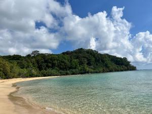 una isla en medio del océano con una playa en Vladi Eco House en Bocas del Toro