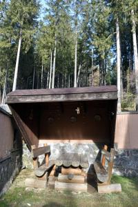 Billede fra billedgalleriet på Vila Roberta i Buşteni