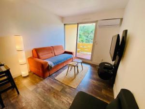 ein Wohnzimmer mit einem Sofa und einem TV in der Unterkunft ''Les Grangettes'' Studio climatisé, proche plage in Sète