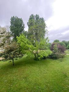 um grupo de árvores num campo de relva em Superbe appartement au calme avec parking gratuit. em Mérignac