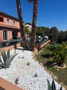 einen Garten mit Kakteen und Palmen und ein Haus in der Unterkunft Villa avec Piscines in Cagnes-sur-Mer