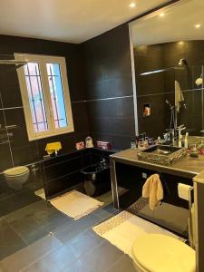 ein Bad mit einem Waschbecken, einem WC und einer Dusche in der Unterkunft Villa avec Piscines in Cagnes-sur-Mer