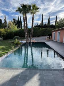 ein Pool mit zwei Palmen im Hof in der Unterkunft Villa avec Piscines in Cagnes-sur-Mer