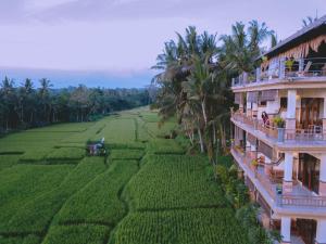 une vue aérienne sur une maison et une rizière dans l'établissement Nirwa Ubud Karma, à Ubud