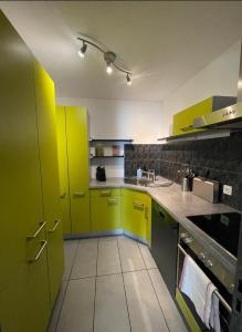 kuchnia z jasnozielonymi szafkami i zlewem w obiekcie Appartamento Wyss w mieście Bivio