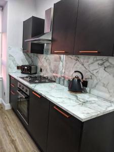 a kitchen with a stove and a tea kettle on a counter at Sweeney Stays, Cadzow Apartment in Hamilton