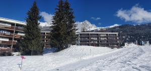 ein Gebäude im Schnee vor einem Berg in der Unterkunft Haus Viols 46 in Savognin