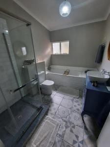 a bathroom with a shower and a toilet and a sink at Nel's Cottage, a private and peaceful cottage in Benoni